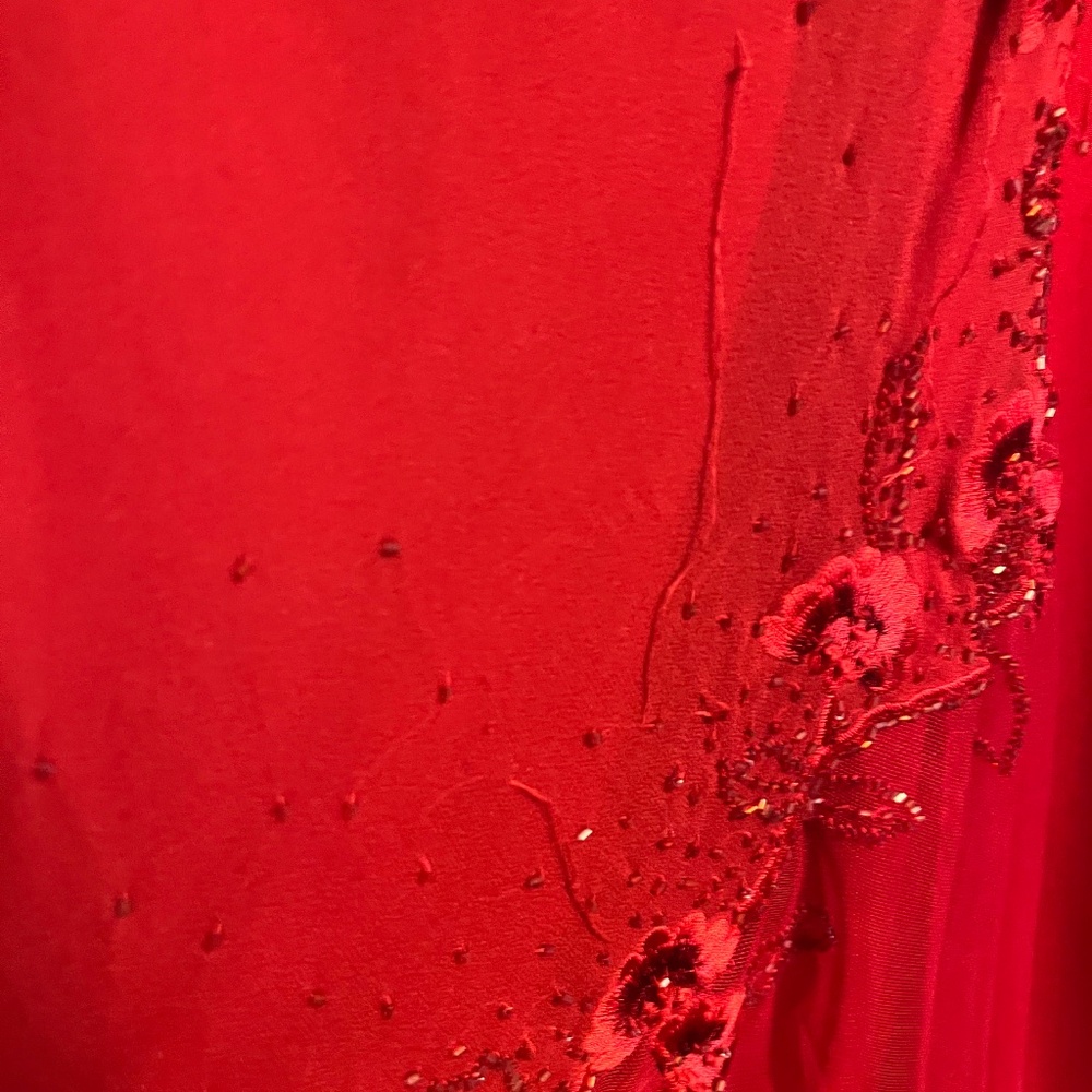 Wrapped in Red Embroidered Gown - Picture 9 of 10